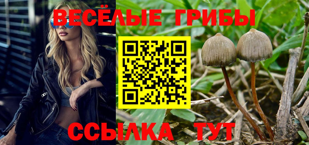 Волгоград  Галлюциногенные грибы Magic Shrooms  Вход с VPN 