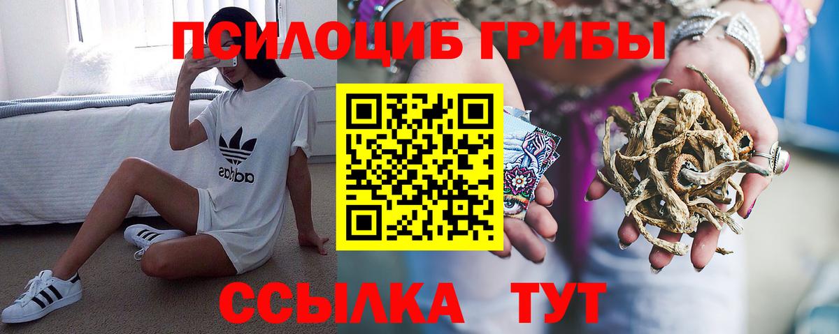 Псилоцибиновые грибы мухоморы Волгоград